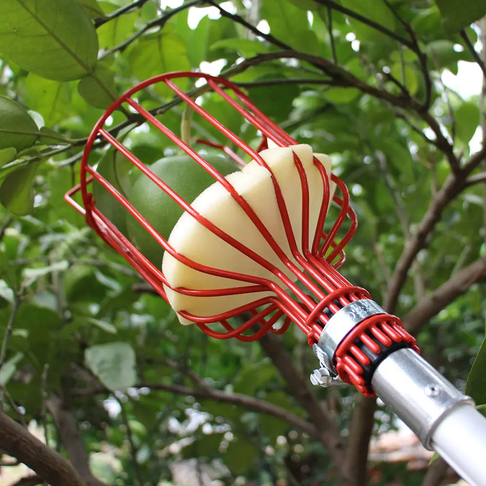 Easy-Pick Fruit Harvester Tool for Orchard and Garden